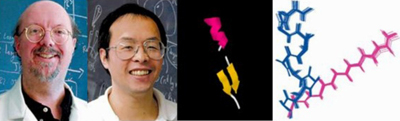 Donald Lab Graphic