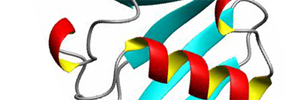 Donald Lab Graphic