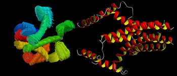 Donald Lab Graphic